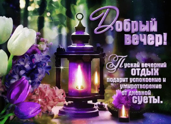 Добрый вечер