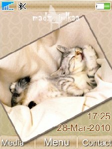 kitty media