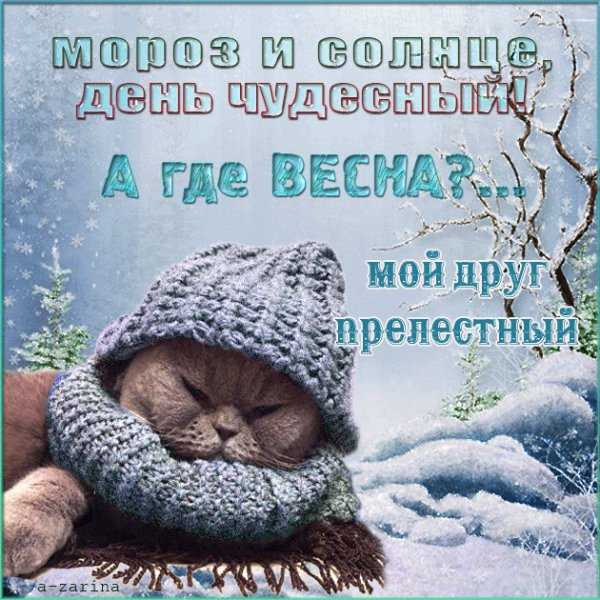 1da0c8df85d303d1864477616c91da46