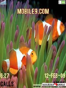 aquarium h3dqoytp