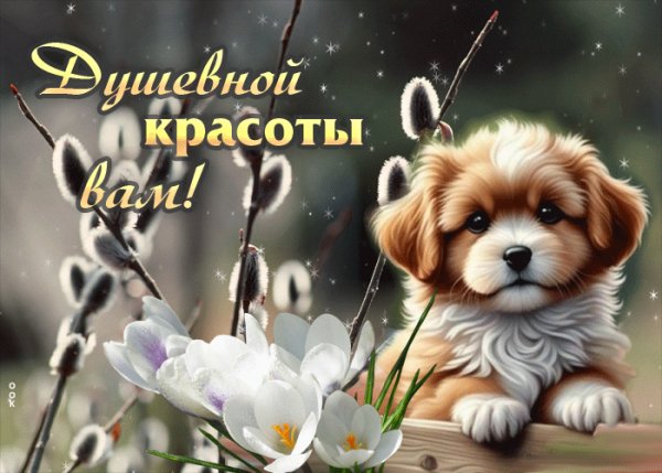 file_99153483