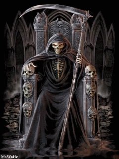 Skull23240x320