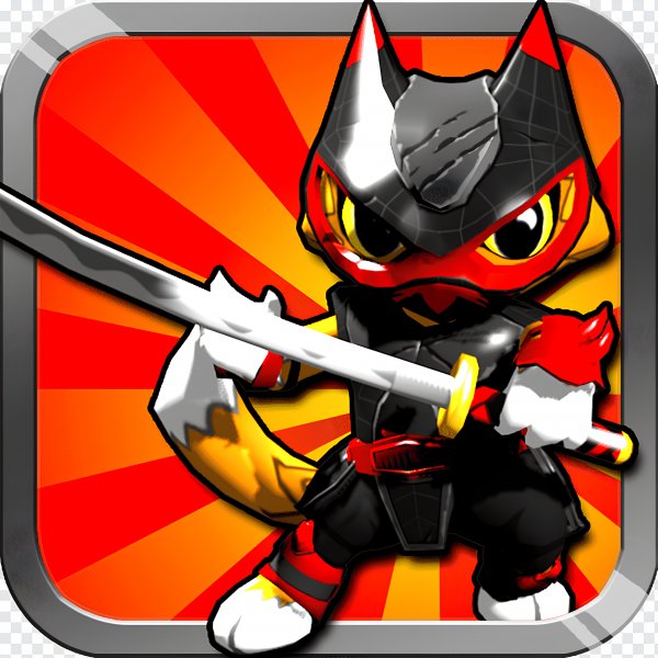 Ninja Kitty