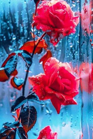 file_100269363