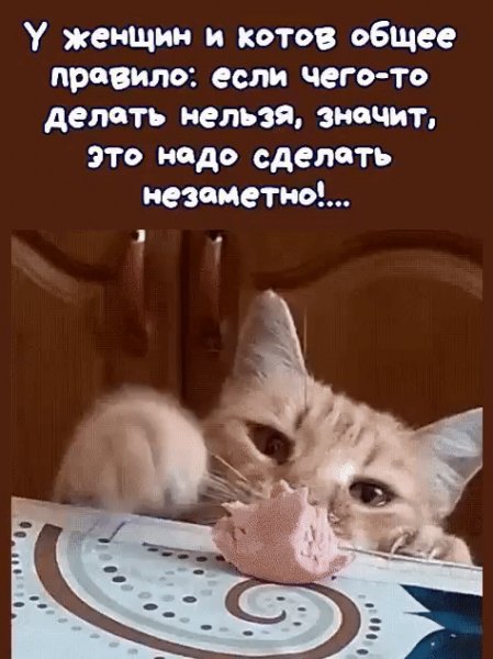 IMG 20230510 222407