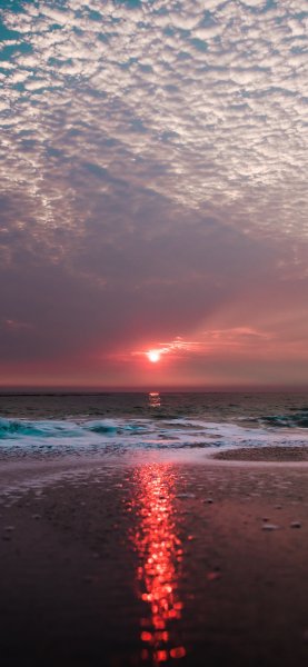 file_100579025