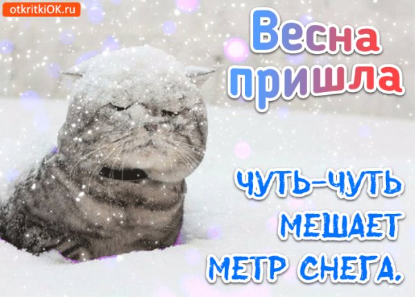 Vesna-prishla-otkrytka-45498-9758541