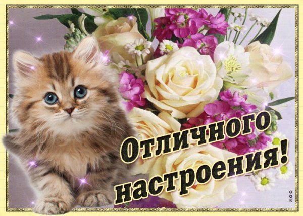 file_99109080