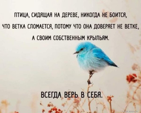 Vsegda ver v sebja!-