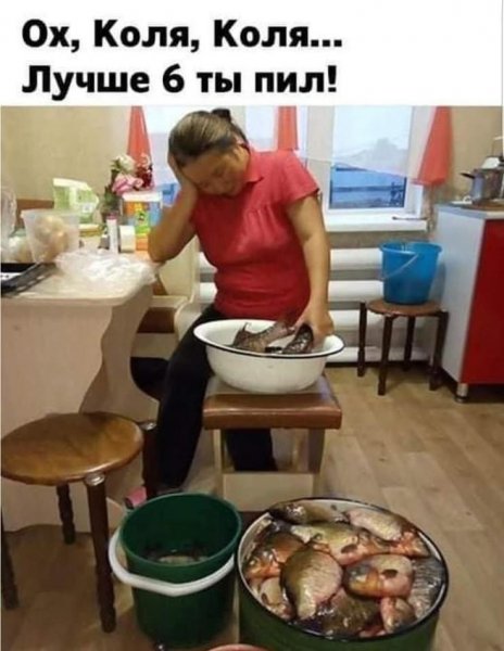 E77355df44b66fb010b766c74ecdd187