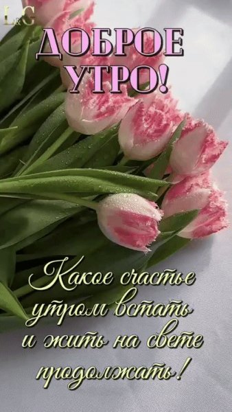 picture_387717273