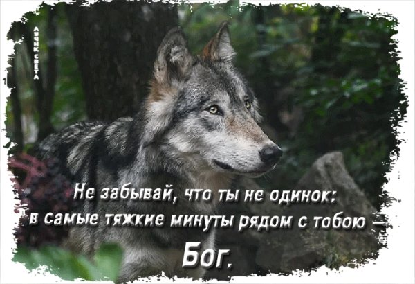 Ты не одинок