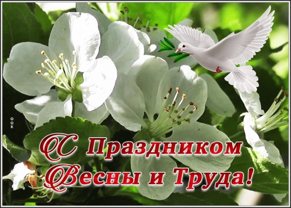 file_99674253
