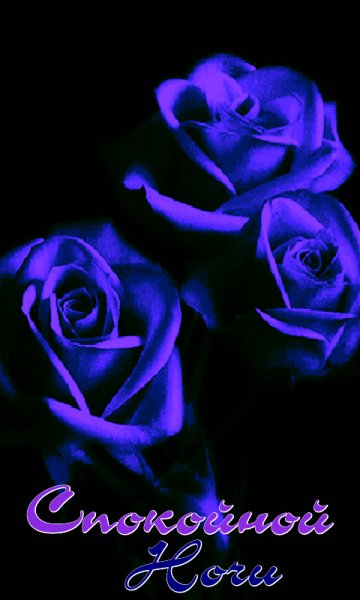 file_99595251