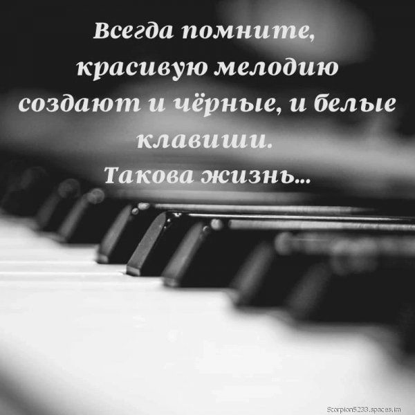 KUXscQLFn