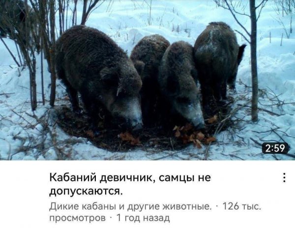 file_99441357