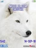white wolf 4caec122ba09b