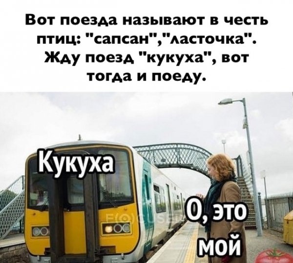 file_100678542