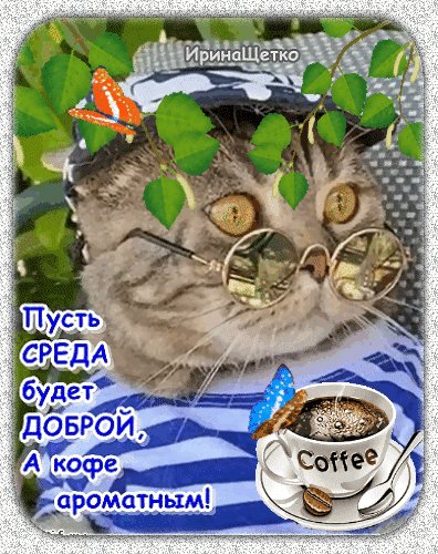 Анимированная открытка доброй среды
