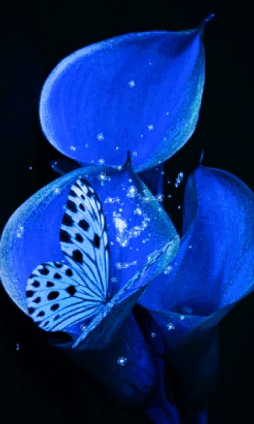 file_99510456