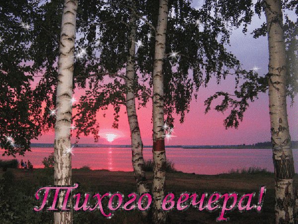 Анимированная открытка тихого вечера (1)