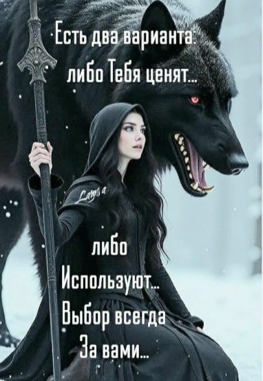 file_100616879