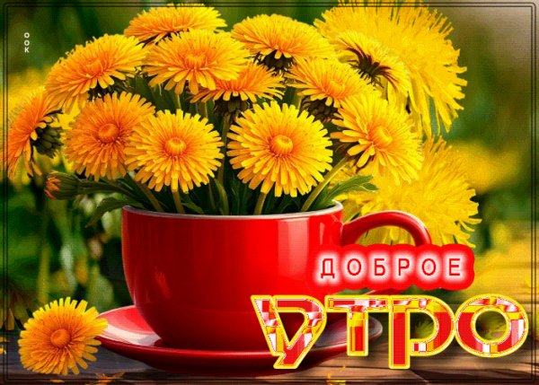 file_99985492