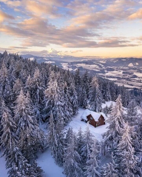 file_99795740