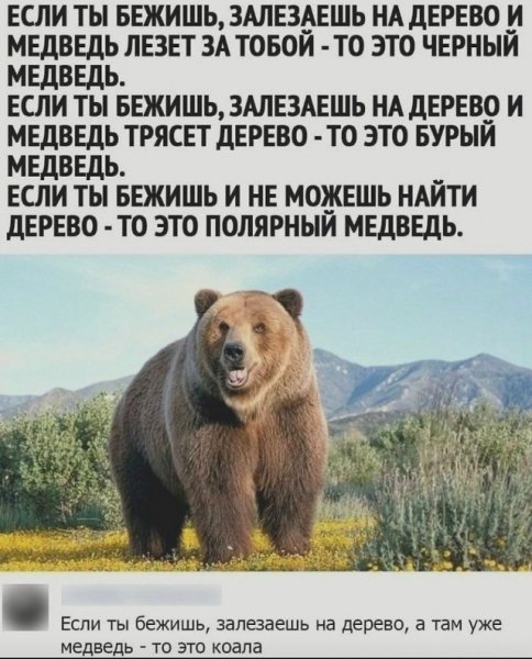 file_100750574
