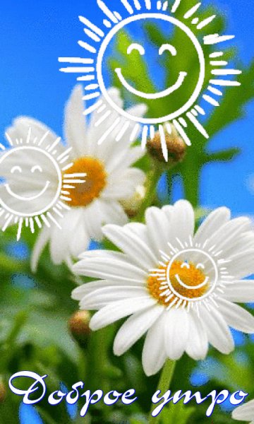 file_100386191