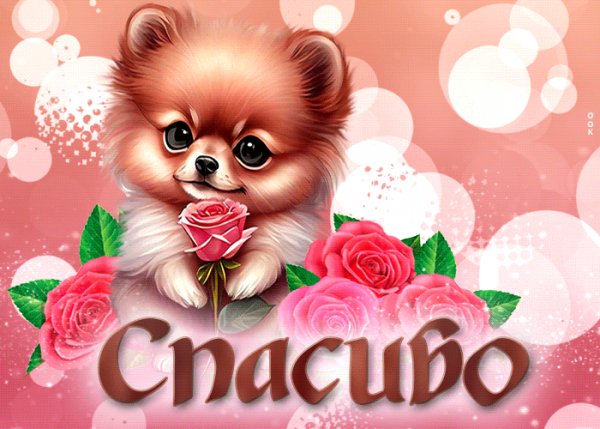 file_99073560
