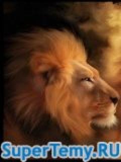 LionKing