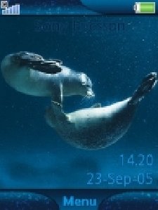 seals v47ms