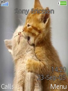 Кошачьи нежности