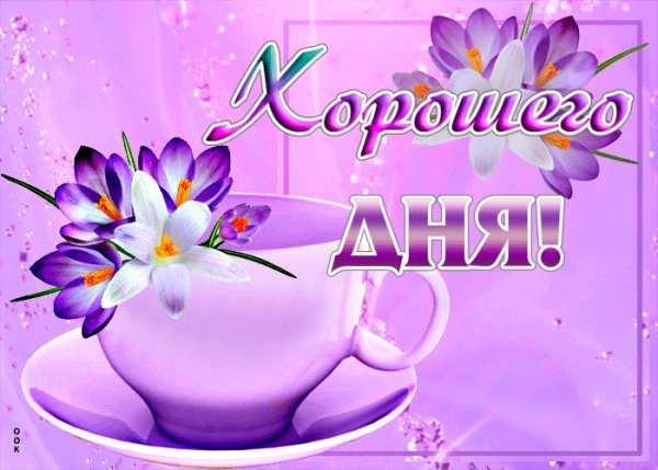 file_99130566