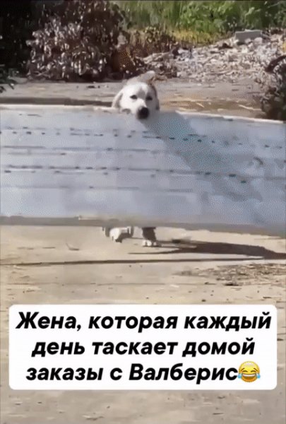 IMG 20230624 152800