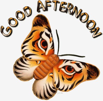 Good Afternoon 000751