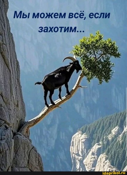 Х5 1