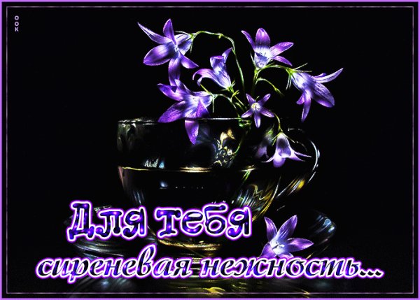 file_99068669