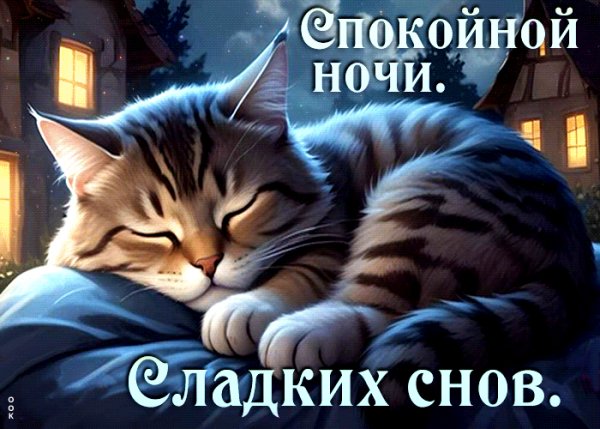file_99127244