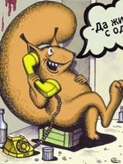(11)