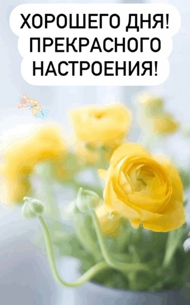 Добрый день