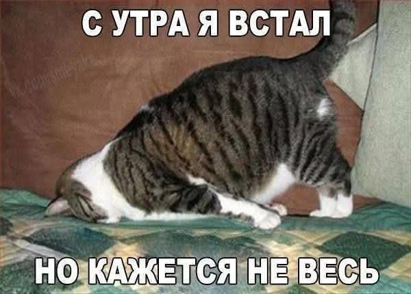 FB IMG 1757349818777