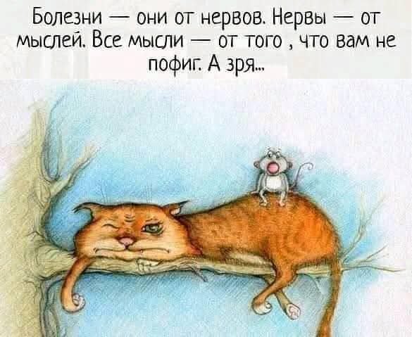 FB IMG 1757358068406