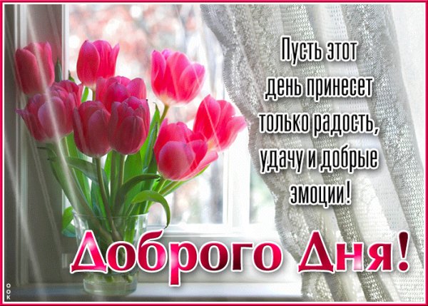 file_99149919