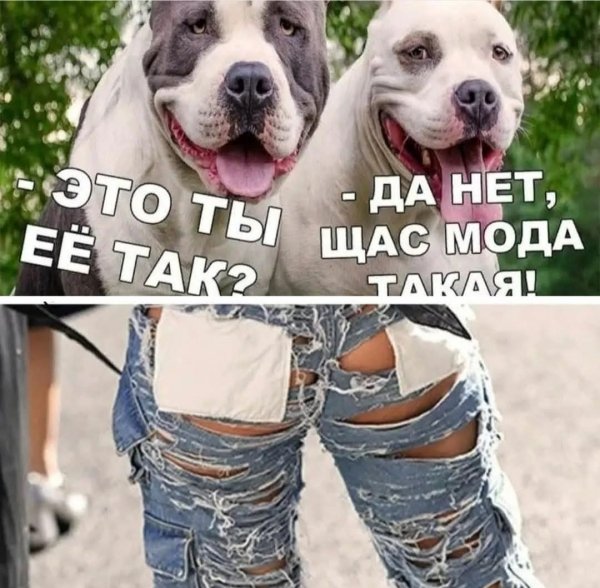 FB IMG 1756491627290