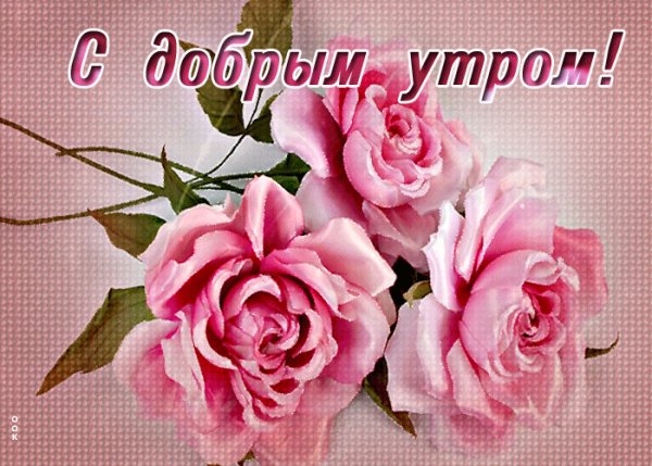 file_99037903