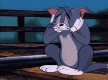 Tom-tom-and-jerry (2)