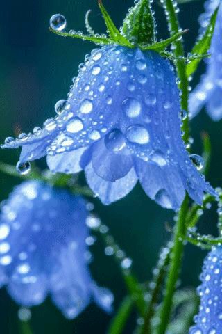 file_100021202