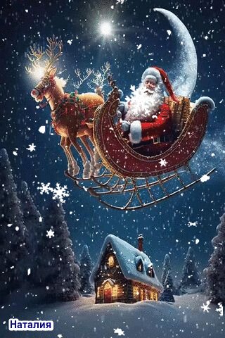 file_98713322